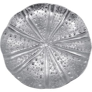 Mariposa Sea Urchin Platter