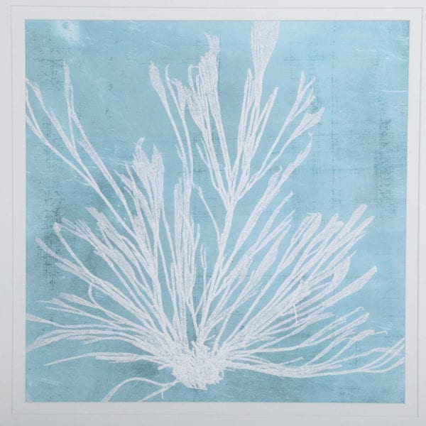 Uttermost Seaweed on Aqua Framed Prints